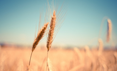 Vláda schválila 205.800 eur na nákup osív a hnojív pre Ukrajinu