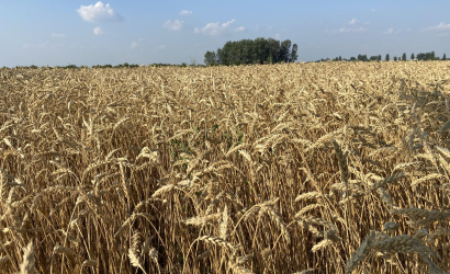Predchádzajme požiarom počas žatvy
