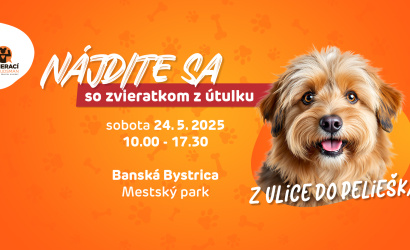 Vďaka podujatiu Nájdite sa… so zvieratkom z útulku odišlo z ulice do pelieška 8 psíkov!