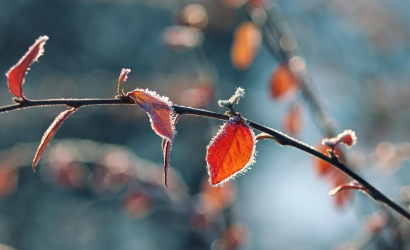 Slovensko zaznamenalo najchladnejšie ráno tejto zimy