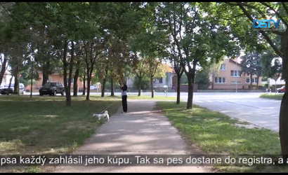 Embedded thumbnail for Mestu robia starosti začipované zatúlané psy, u ktorých ich majiteľ nie je zaevidovaný