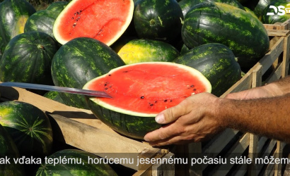 Embedded thumbnail for Začala sa melónová sezóna, v obchodoch sa už objavila aj domáca úroda