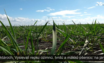 Embedded thumbnail for Zima bola veľmi suchá, preto farmári čakajú na výdatný dážď, ktorý zavlaží pôdu