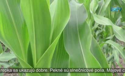 Embedded thumbnail for Pre slovenské poľnohospodárstvo bol rok 2018 ziskový