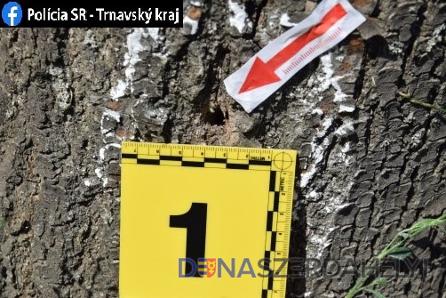 zdroj: Facebook / Polícia SR Niekto úmyselne ničí stromy v našom meste