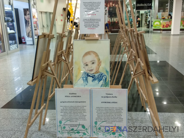 Kúpou obrazu podporíme Pódu Andrásku