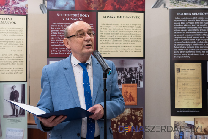 Charakteristika stresu a János Selye