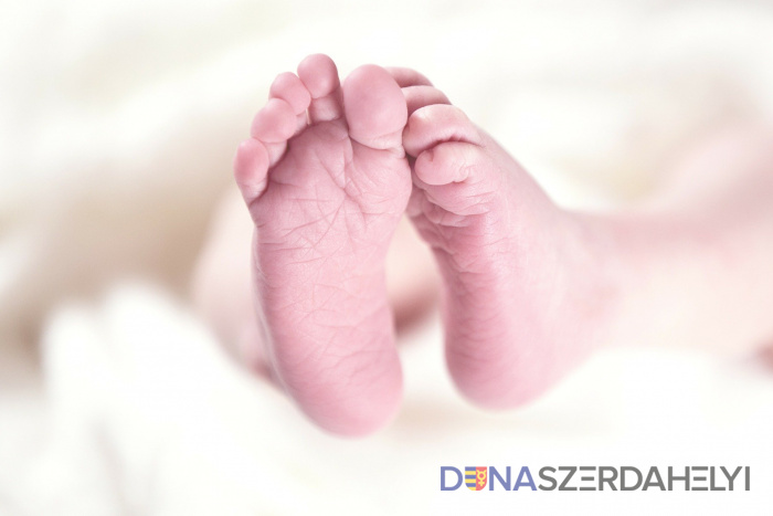 Foto: pixabay.com V roku 2020 v Dunajskej Strede bol prvý Nikolas