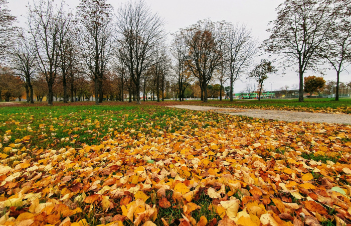 Zákaz vychádzania potrvá do 14. novembra, platia výnimky