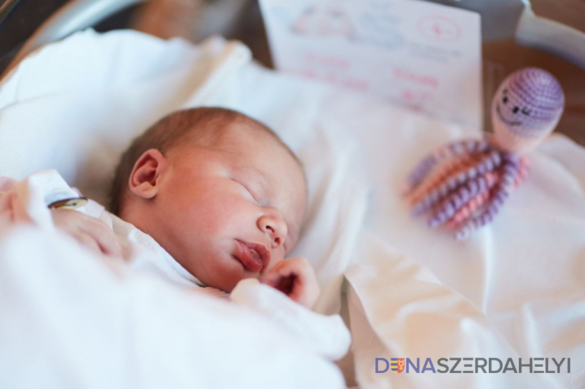 V dunajskostredskej nemocnici sa vlani narodilo vyše 900 detí
