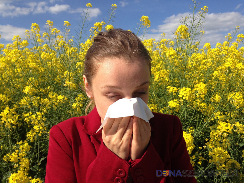 Neliečená alergia môže poškodiť zdravie