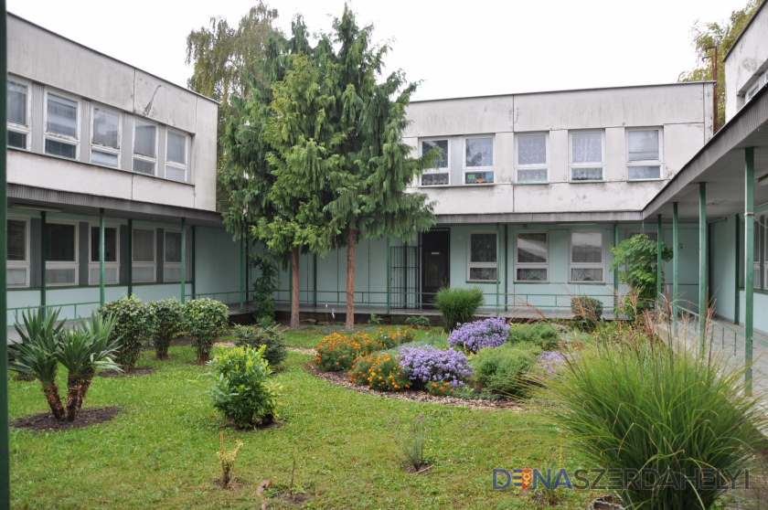 Foto: Nagy Attila Zápis detí do Materskej školy - Óvoda - Rybný trh Dunajská Streda