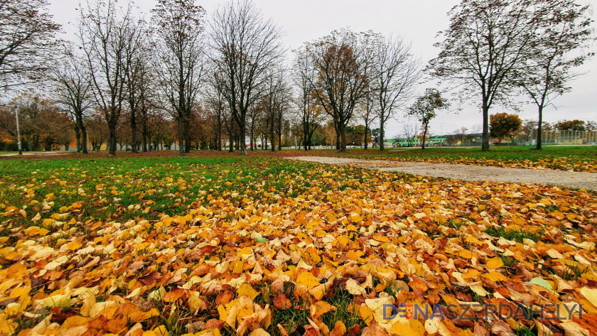 Zákaz vychádzania potrvá do 14. novembra, platia výnimky