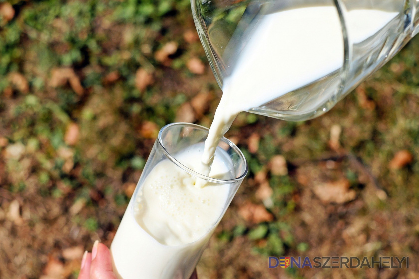 Najlepšie rastlinné náhrady mlieka