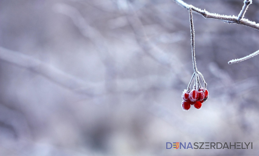Ilustračné foto (pixabay) Bude poriadna zima, nepodceňujte mrazivé počasie