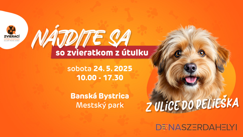 Foto: Zvierací ombudsman/FB Vďaka podujatiu Nájdite sa… so zvieratkom z útulku odišlo z ulice do pelieška 8 psíkov!