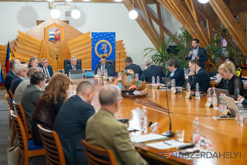 Dlhý rad rozhodnutí