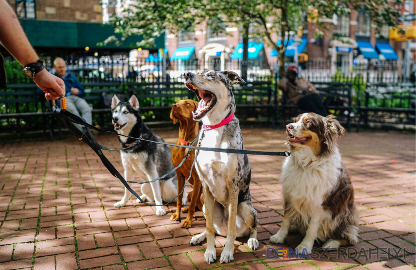 Samospráva očakáva prihlášky obytných komunít