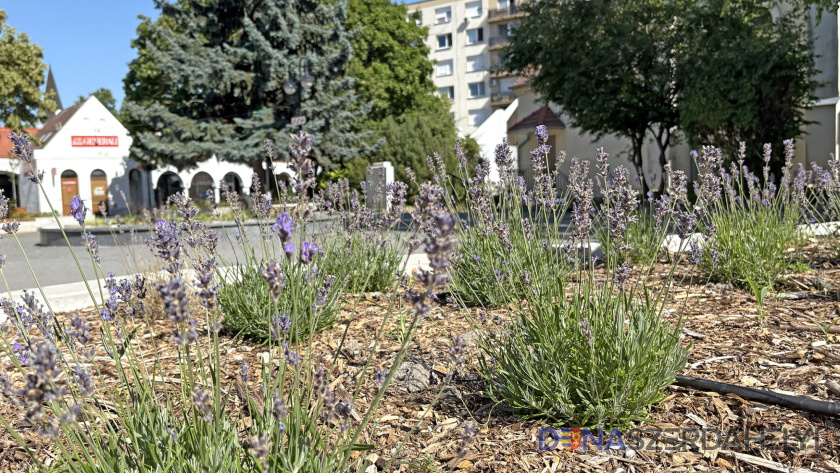 Najprv výstraha pred horúčavami, potom pred búrkami