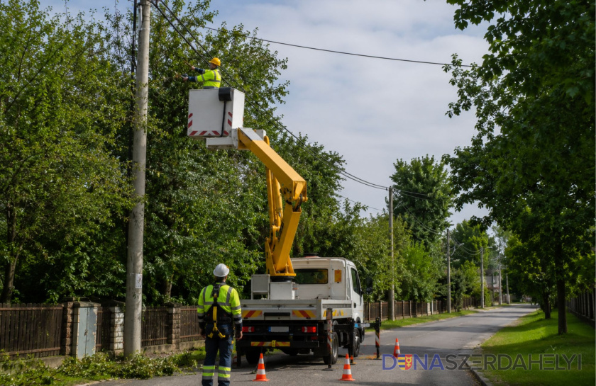 Oznámenie: rez konárov stromov v blízkosti elektrického vedenia