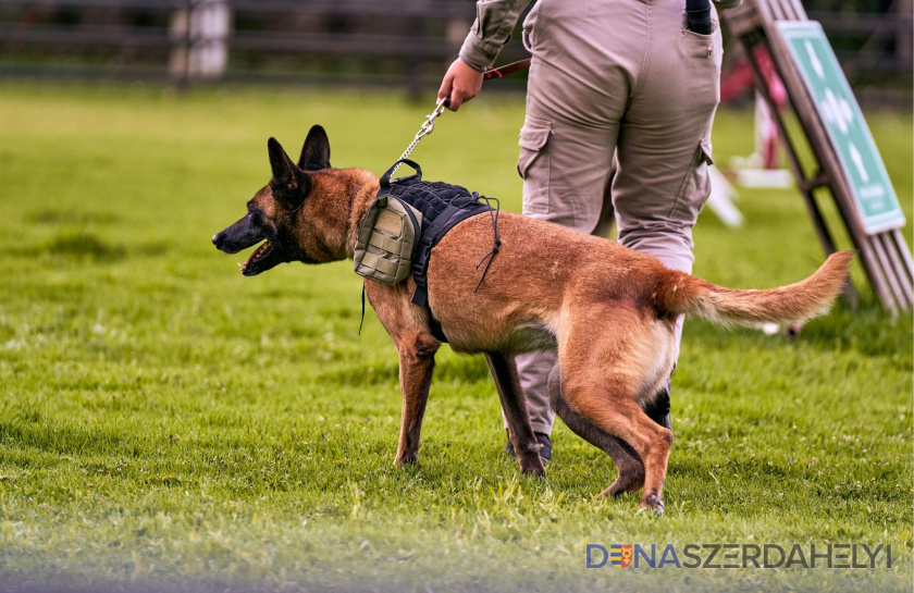 Medzinárodné stretnutie psovodov K9 v Dunajskej Strede – obyvatelia musia počítať so zvýšenou hlučnosťou