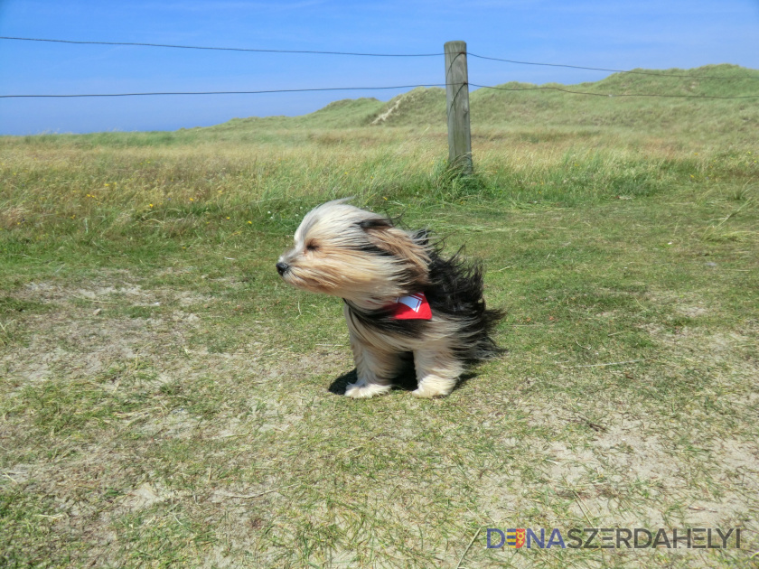 Erős szél, néhol eső és lehűlés jellemzi a hétvége időjárását