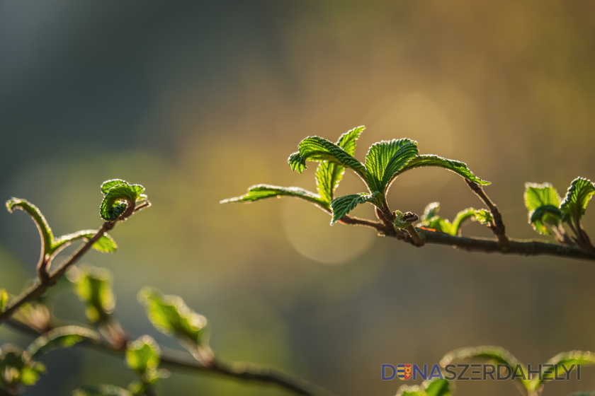 Ilustračné foto (pixabay) Hodiny sa dnes ráno posunuli o hodinu dopredu, čím sa začal letný čas