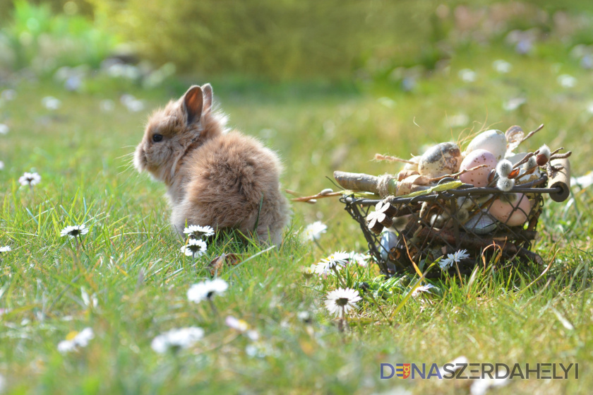 Ilyen időre számíthatunk a húsvéti ünnepek alatt