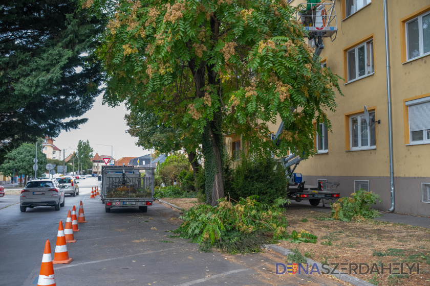 Od 7. do 11. septembra bude na viacerých adresách v Dunajskej Strede prerušená dodávka elektriny