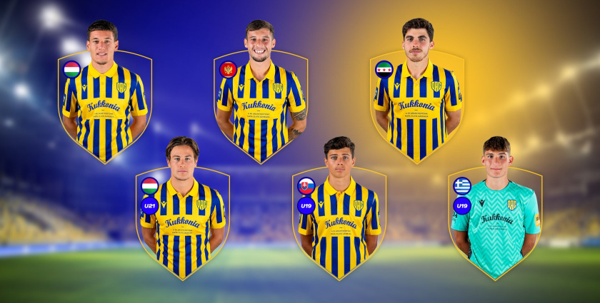 Reprezentanti v akcii: novembrový program žlto-modrých