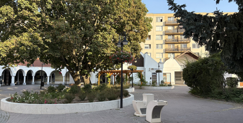Slovensko čelí extrémnej vlne horúčav: Teploty vystúpia až na 41 °C, chráňte si svoje domovy