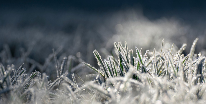 Počasie ako na hojdačke, jar vystrieda zima