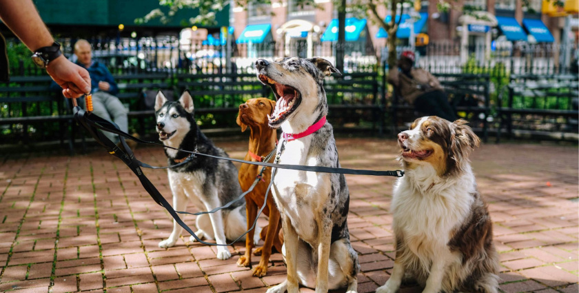 Samospráva očakáva prihlášky obytných komunít