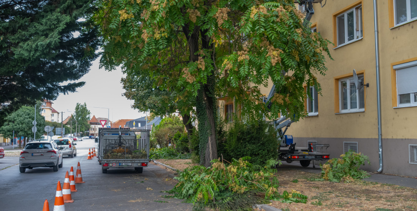 Od 7. do 11. septembra bude na viacerých adresách v Dunajskej Strede prerušená dodávka elektriny