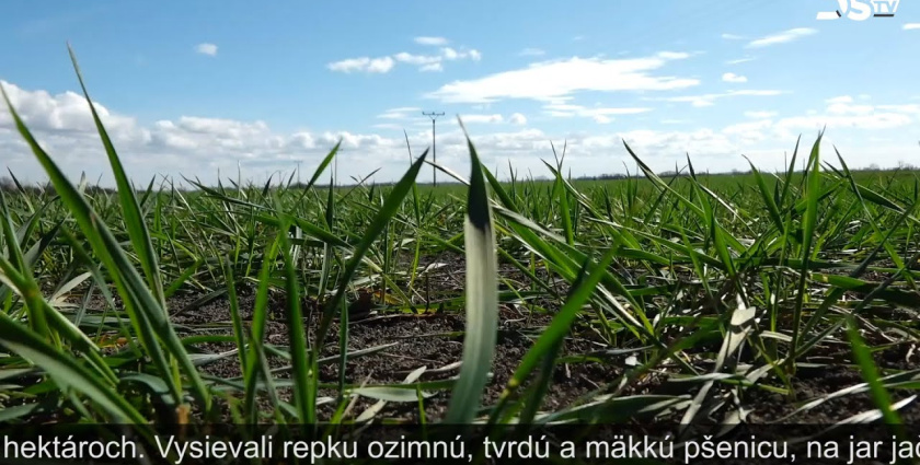 Embedded thumbnail for Zima bola veľmi suchá, preto farmári čakajú na výdatný dážď, ktorý zavlaží pôdu