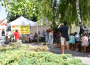 V Dunajskej Strede sa konal festival pomoci
