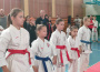 Karate klub IPPON má na konte nové medaily